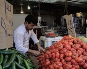 KRG Announces Ban on Tomato Imports to Boost Local Agriculture