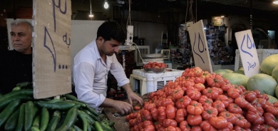 KRG Announces Ban on Tomato Imports to Boost Local Agriculture