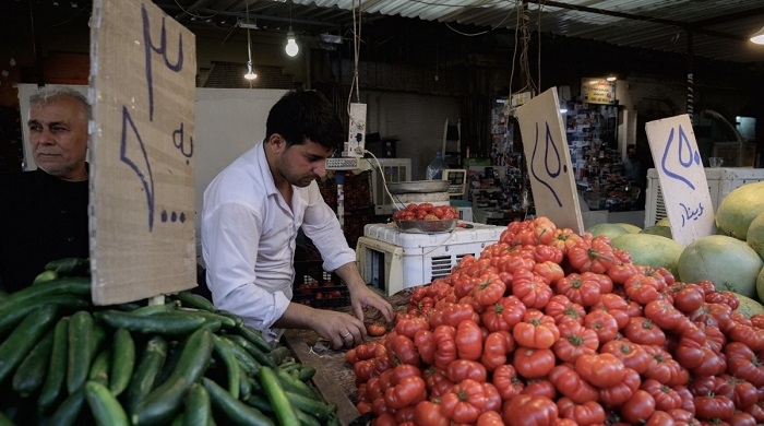 KRG Announces Ban on Tomato Imports to Boost Local Agriculture