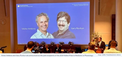 American Scientists Victor Ambros and Gary Ruvkun Awarded Nobel Prize in Medicine for Discovery of MicroRNA