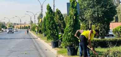 بلديات وسياحة كوردستان: بدء حملة تشجير واسعة بالعاصمة أربيل