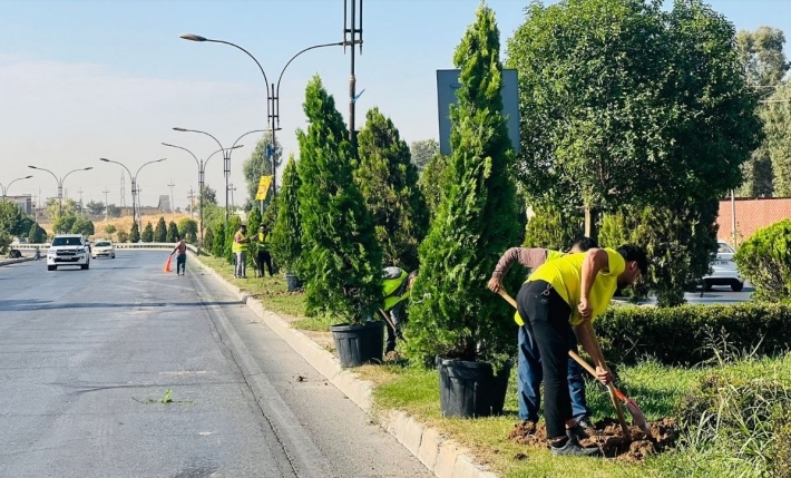 بلديات وسياحة كوردستان: بدء حملة تشجير واسعة بالعاصمة أربيل