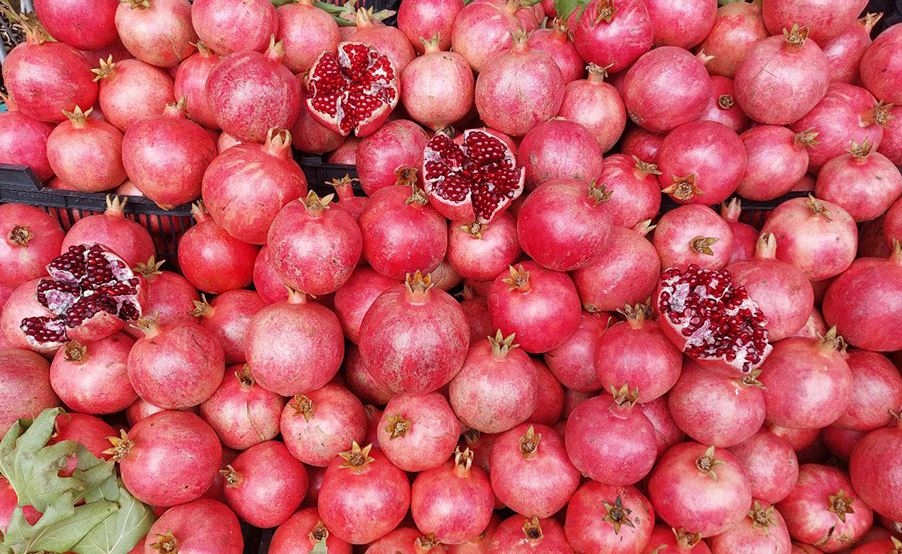 10th Halabja Pomegranate and Autumn Festival Opens with British Consul General in Attendance