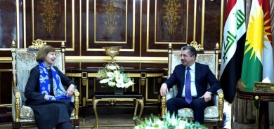 Prime Minister Receives Baroness Emma Nicholson