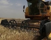 Kurdish Farmers Protest Iraqi Army Lawsuit Over Farmland in Tobzawa