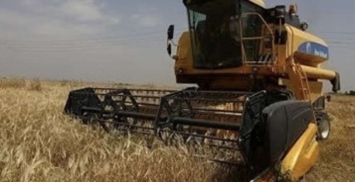 Kurdish Farmers Protest Iraqi Army Lawsuit Over Farmland in Tobzawa