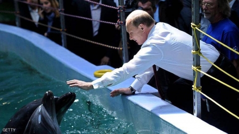 الجيش الروسي يتعلم من الدلافين