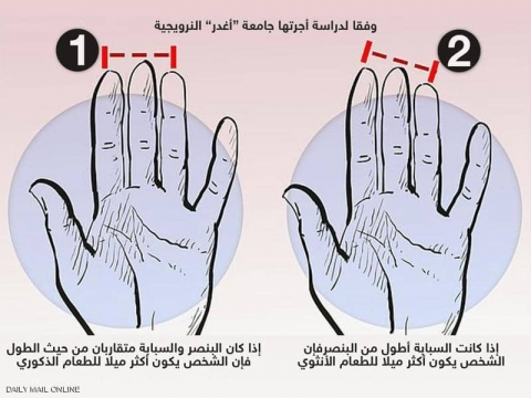 دراسة تكشف علاقة غريبة بين أصابع اليد وتفضيلات الطعام