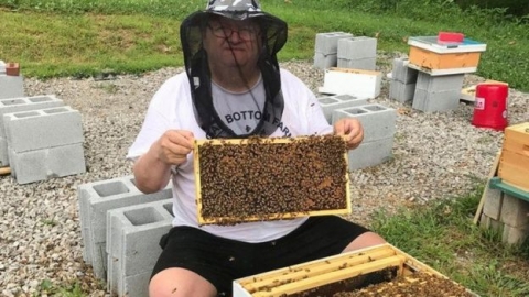 قصة الرجل الذي أنقذ النحل حياته