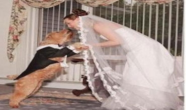 إمرأة تتزوج من كلب بعد أن خانها أزواجها السابقون