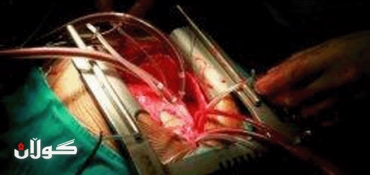 Scientists grow human heart tissue