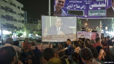 Egypt's Sisi vows Muslim Brotherhood 'will not exist' 