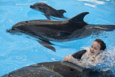 Dolphin Named 'Peace' Born in Ailing Ukraine City