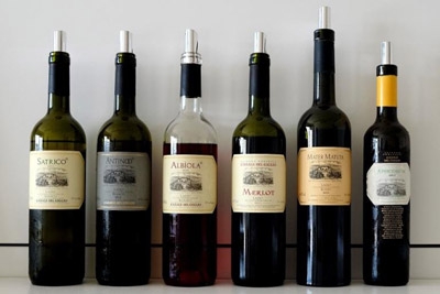Beneath new world vines, a glimpse of old world wine