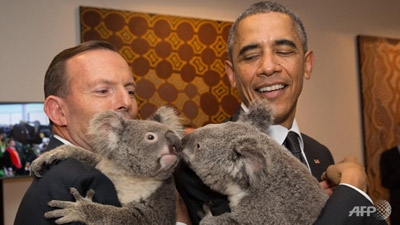 Australia brings 'koala diplomacy' to bear at G20