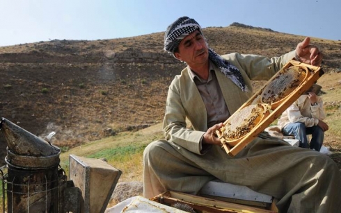 Li Îmaratê kîloyek hingivê Kurdistanê bi 1000 dolar e