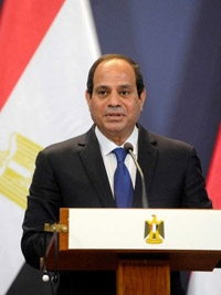 Egypt's President Issues Rare Apology After Lawyer Beaten