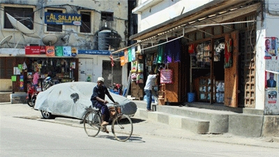 'Democracy in Zanzibar at stake', vote observers warn