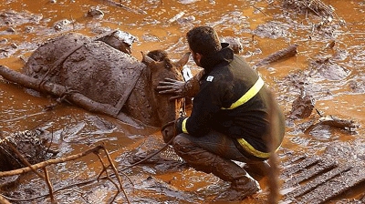 Brazil: 28 people still missing after deadly dam burst