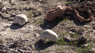 IS blamed for mass Yazidi grave found near Sinjar, Iraq