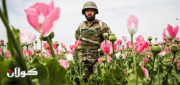 Afghanistan: The rise of a narco state