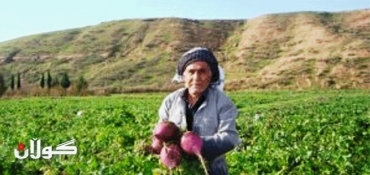 Agricultural opportunities in Kurdistan loom large for US businesses
