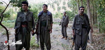 PACE changes stance on PKK terrorists, dubs them 'activists'