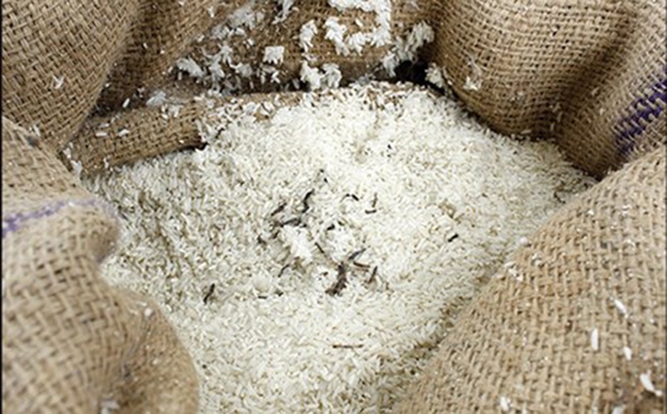 وەزارەتی بازرگانی عێراق برنجی ئێکسپایەر بۆ كوردستان دەنێرێ