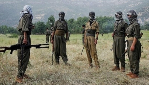 Dr. Sebah Subhî: Amanca PKKê nesaqamgriya siyasî ye li Herêma Kurdistanê