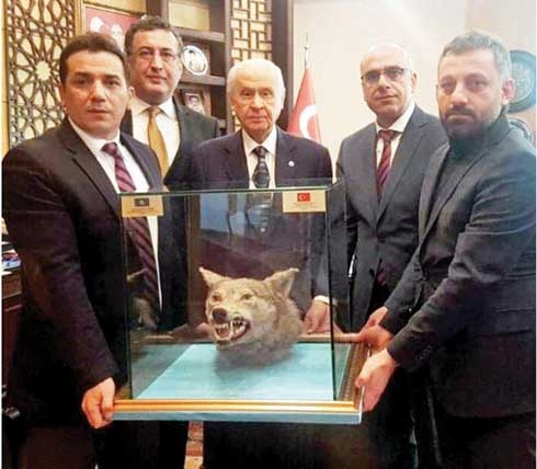 Turkey’s nationalist leader gets wolf head as birthday present