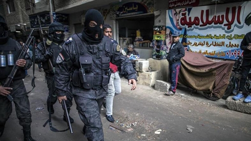 Egyptian forces kill seven militants near Cairo, says government