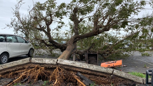 Death toll in Mozambique cyclone, flooding could rise above 1,000