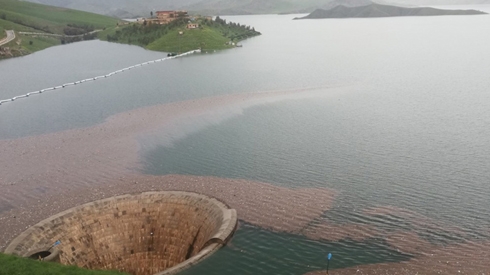 Water in Dukan Dam reaches bell-mouth spillway for first time in 31 years