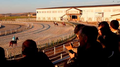 Horse club in Erbil kicks off season of racing, betting