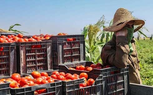 KRG releases agriculture budget after 2 years of cuts