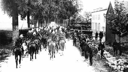 Unsung heroes, animals were vital part of WWI war machine