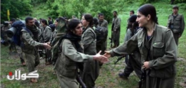 Ahmet Aydin: Increase in PKK members since peace process