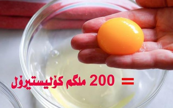 یەك هێلكە 200 ملگم كۆلیستیرۆل لەخۆدەگرێت