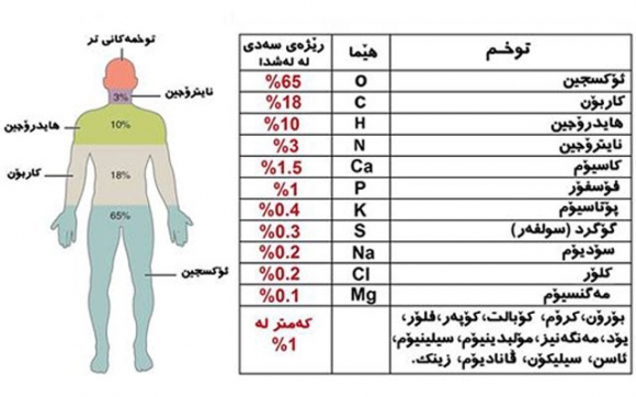 رێژەی كانزایەكان لە لەشماندا